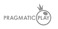 Premium Play logo